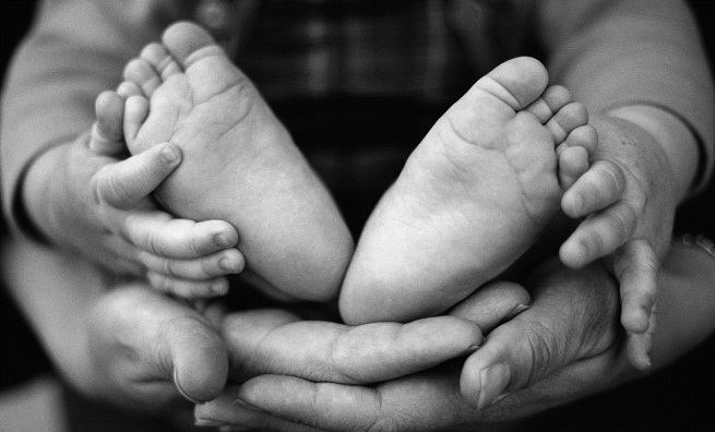 Parent and Baby's Hands and Feet